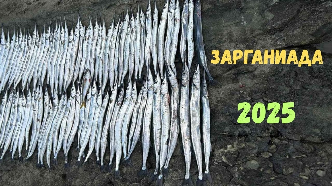 "БРУТАЛЕН РИБОЛОВ на ЗАРГАНИ на ДЖИГ! 🎣 | Най-Силния Риболов за Този Сезон"