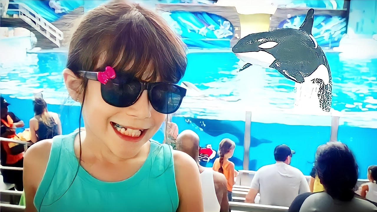 SHOWS NO PARQUE DO SEAWORLD: Golfinhos, Baleias, Leões Marinhos ★ Viagem para Orlando VLOG #2