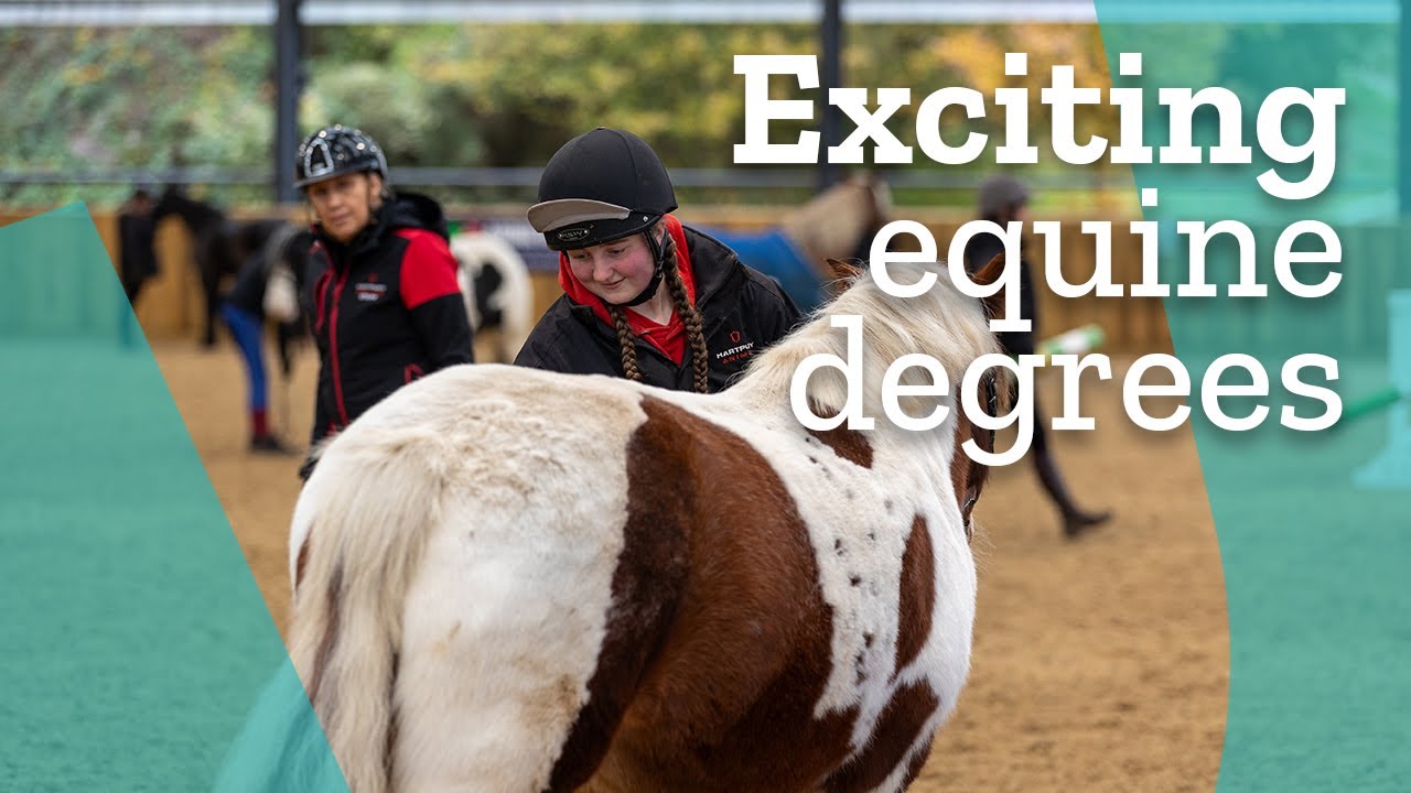 Exciting equine degrees at Hartpury University
