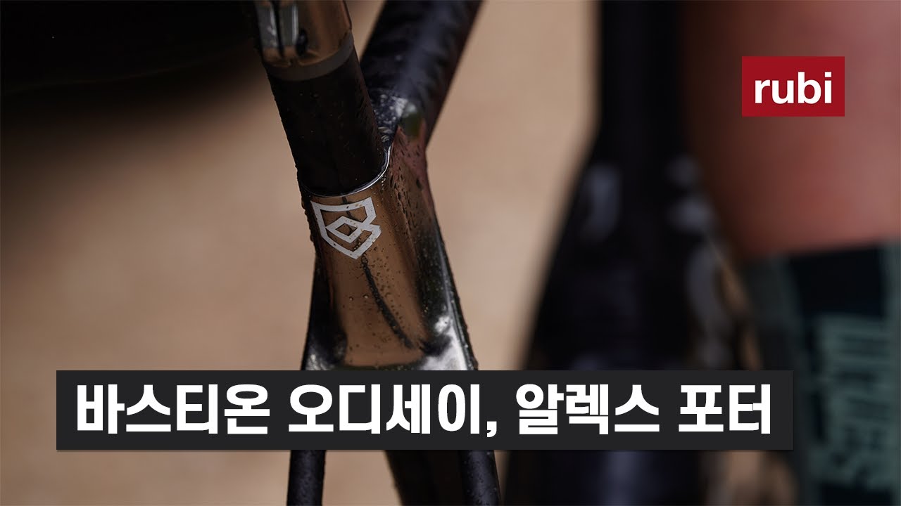바스티온 오디세이 - 알렉스포터