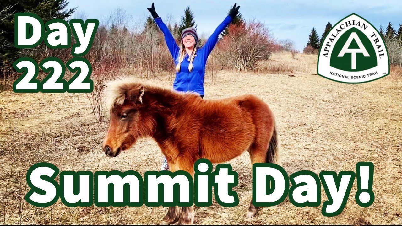 Summit Day! Finishing with the ponies in Grayson Highlands! Appalachian Trail 2020