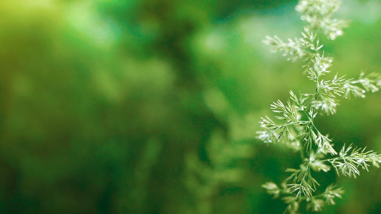 Music for studying, focus, concentration and music for stress relief (Season 2 - relaxdaily)