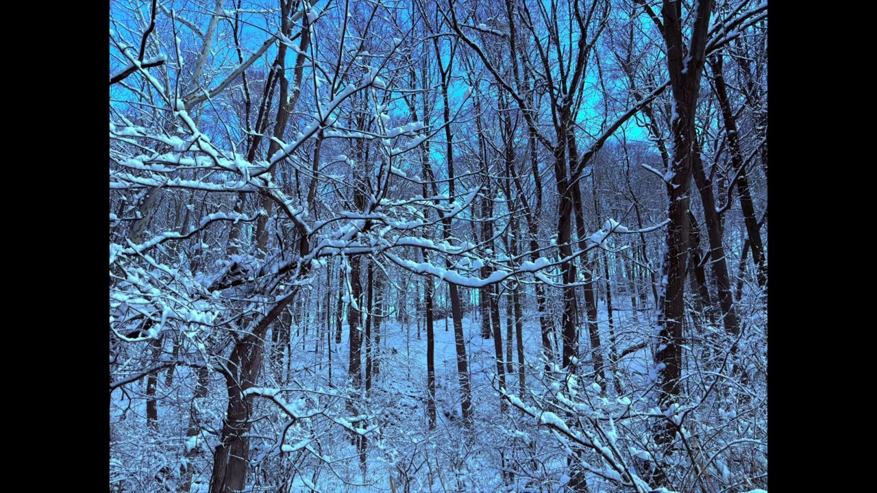 winter sessions - a collection of beats