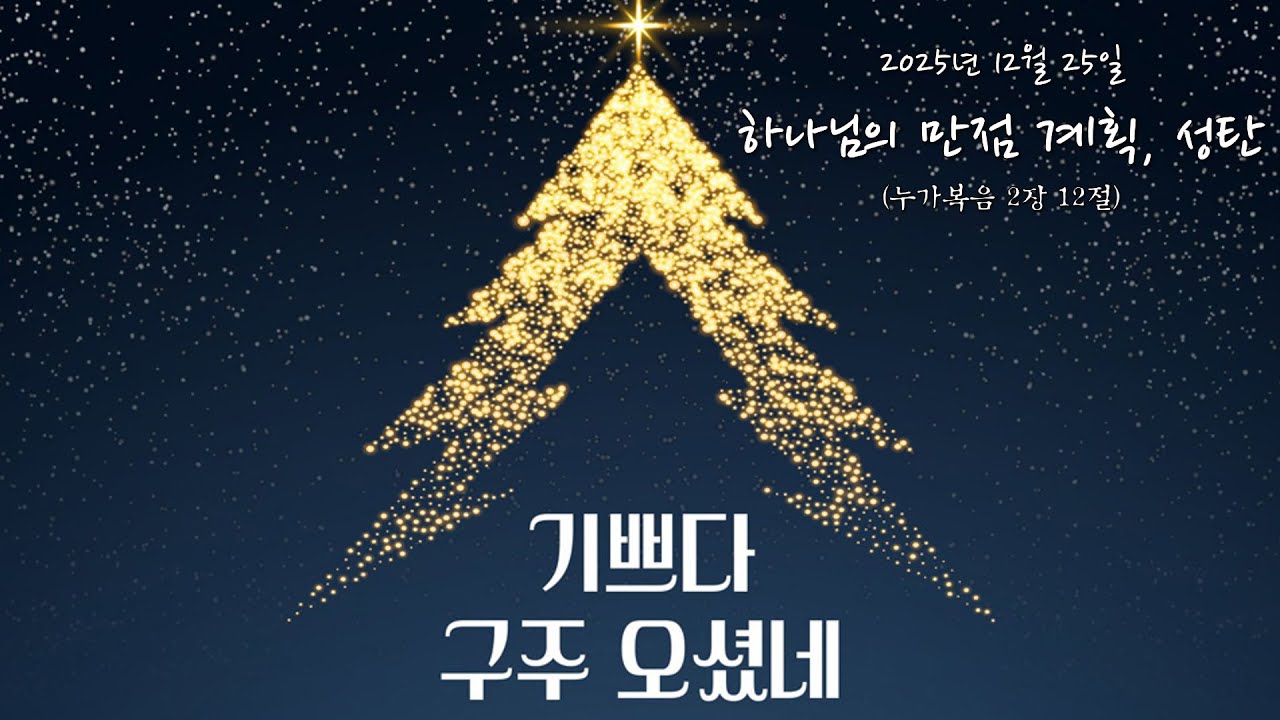2025년 12월 25일 / 성탄절 / 하나님의 만점 계획, 성탄 / 누가복음 2장 12절