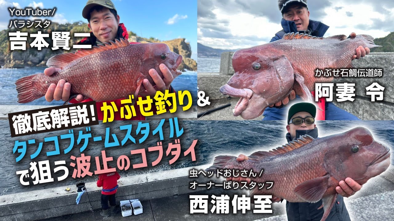かぶせ釣り＆タンコブゲームスタイルで狙う波止のコブダイ