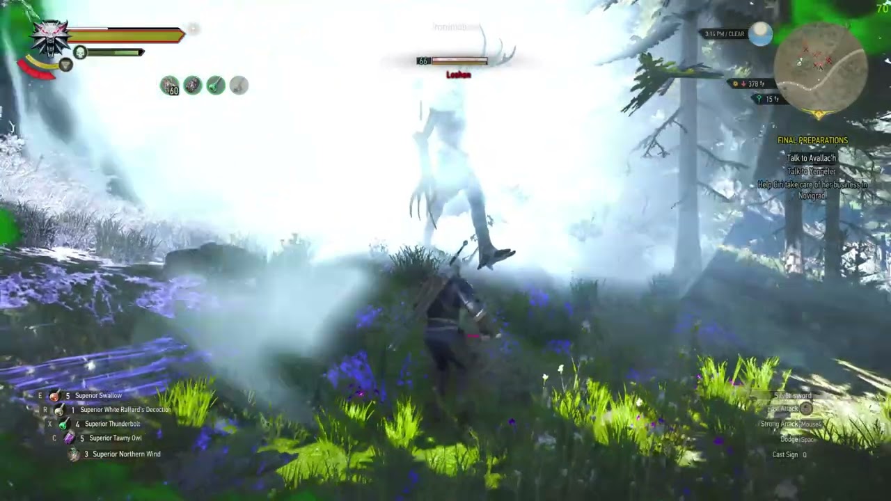The Witcher 3 Feline Build 63,000 damage critical hit (no DLC)