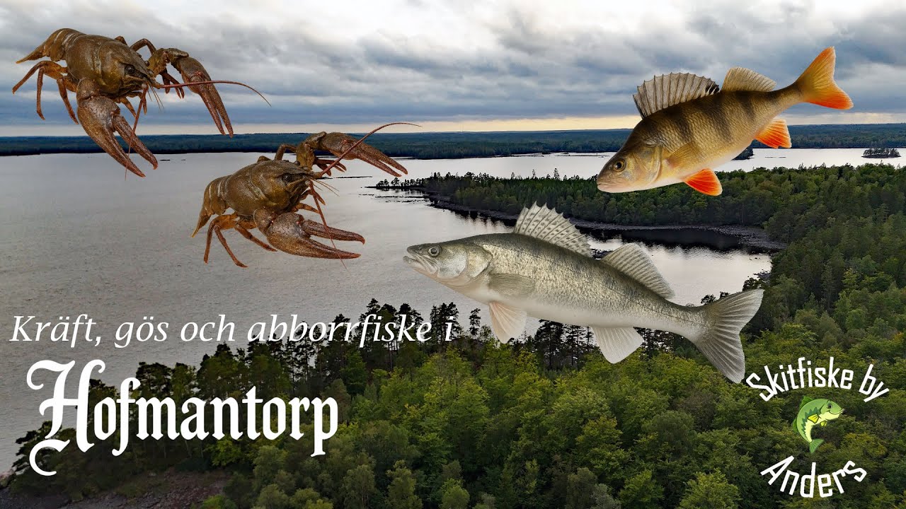 Kräft, gös och abborre fiske i Hovmantorp