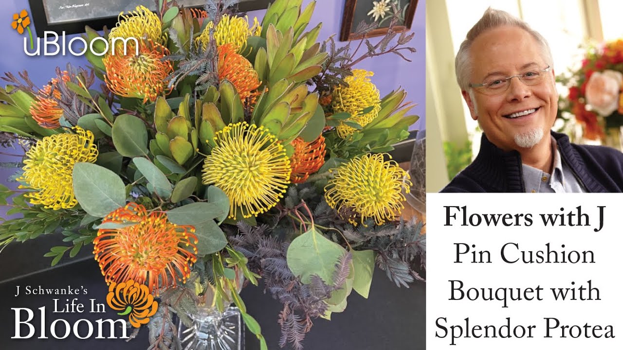 Splendor Pincushion Protea Vase- LIVE with J