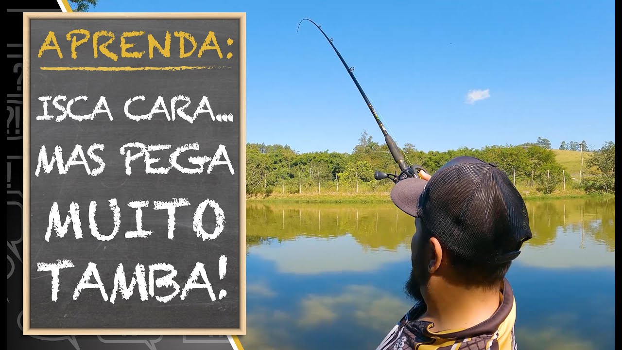 APRENDA: ISCA CARA... MAS PEGA MUITO TAMBA!!!