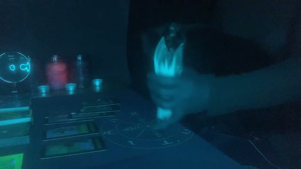 Vitality - “Your Health is Wealth” (Cat joined Us).