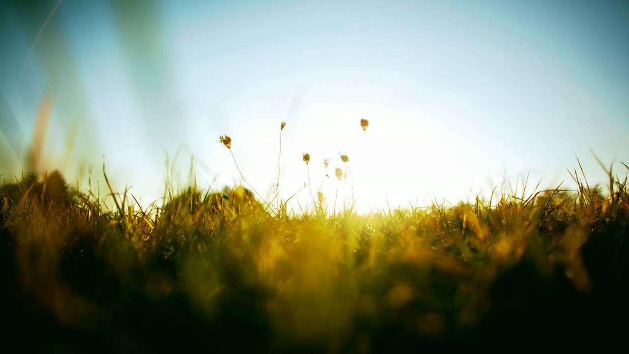 Blackmill Feat. Veela - Life (Full Version)