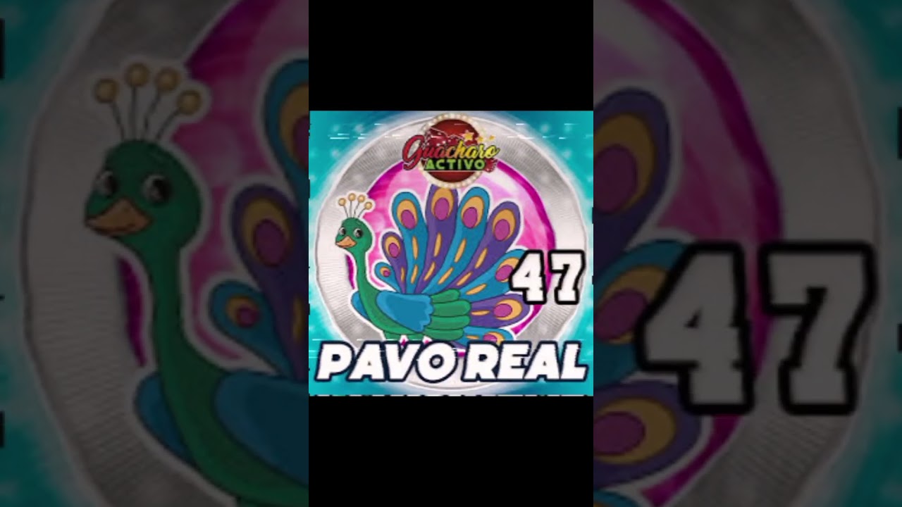 Datos Guacharo activo Gratis para hoy. 15/04/2025. #datosfijoslottoactivodatosfijoslottoactivo