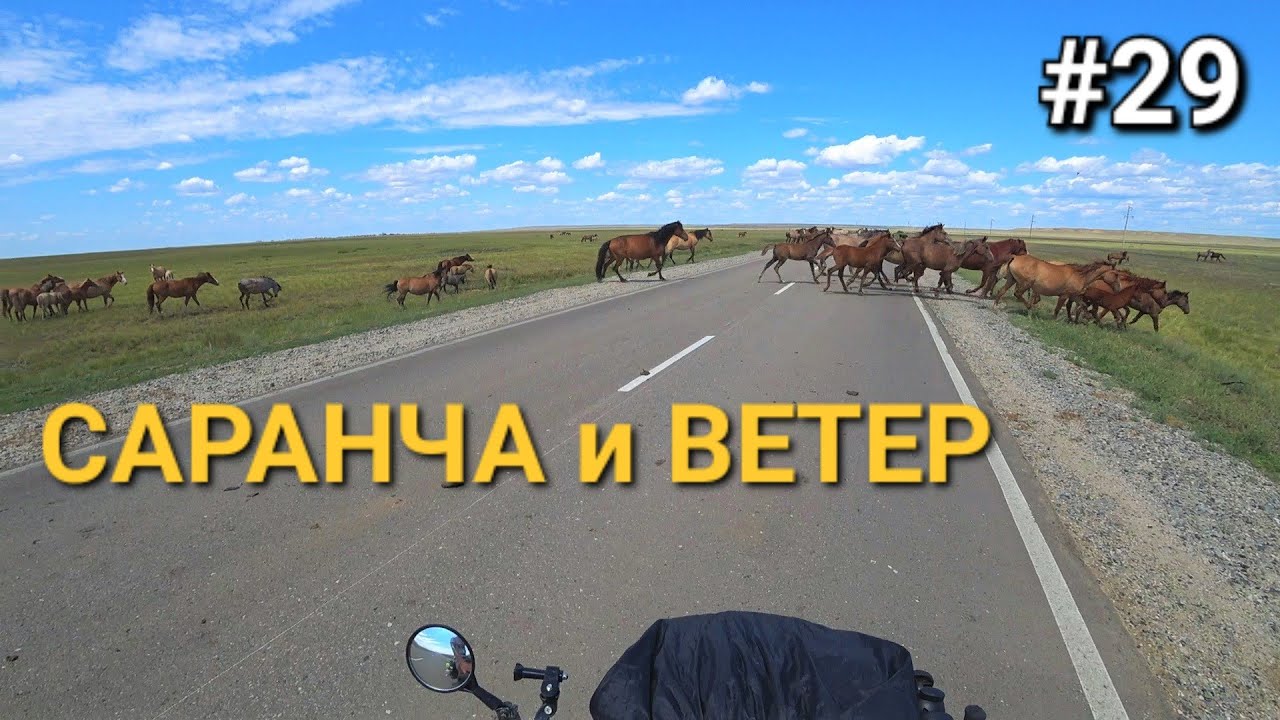 Россия-Казахстан, Саранча атакует! Ветер сдувает 😁