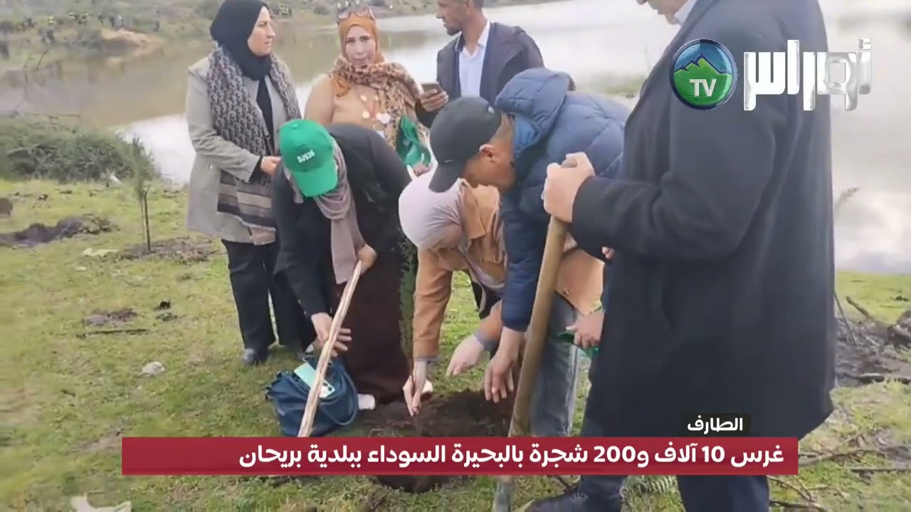 #الطارف - غرس 10 آلاف و200 شجرة بالبحيرة السوداء ببلدية بريحان