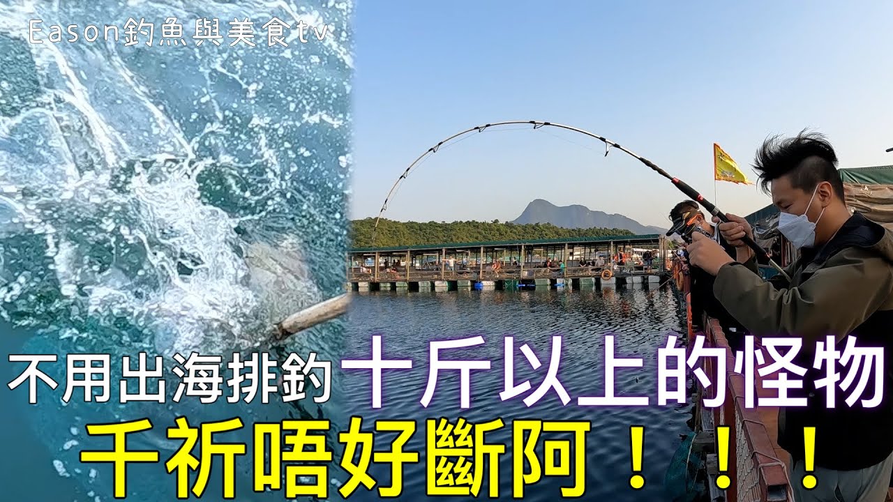 香港釣魚︱太刺激了！不用出海也可以釣到這麼大的魚 千祈唔好斷阿！！！