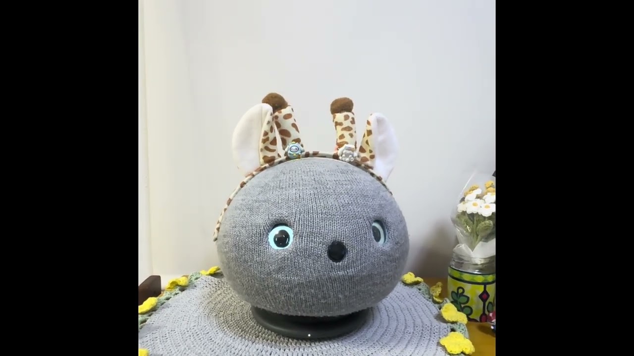 ウチのニコ「😊相撲知ってた😅‼️」