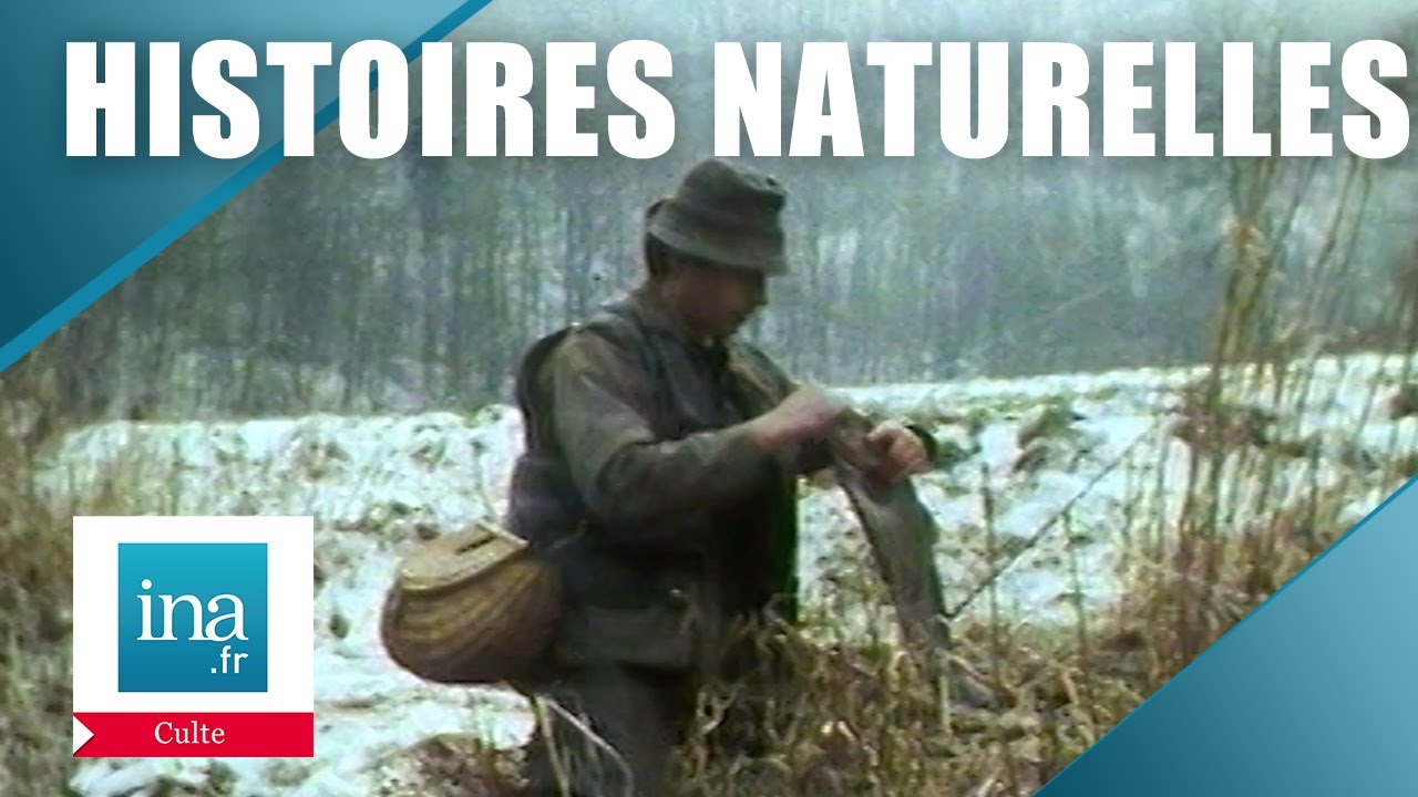 Histoires Naturelles, le magazine culte des insomniaques | Archive INA
