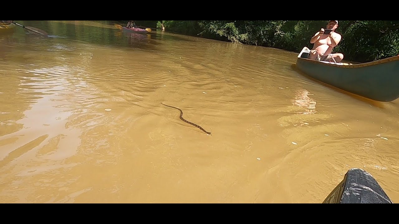 Uwharrie River Overnight Paddle Low Water To Daniel Road Part 1 Of 2 052524
