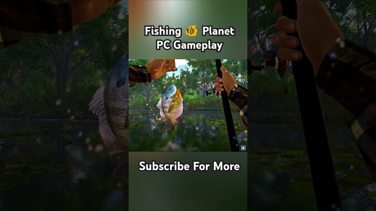 Survival Adventure Gameplay Fishing 🐠 Planet PC 