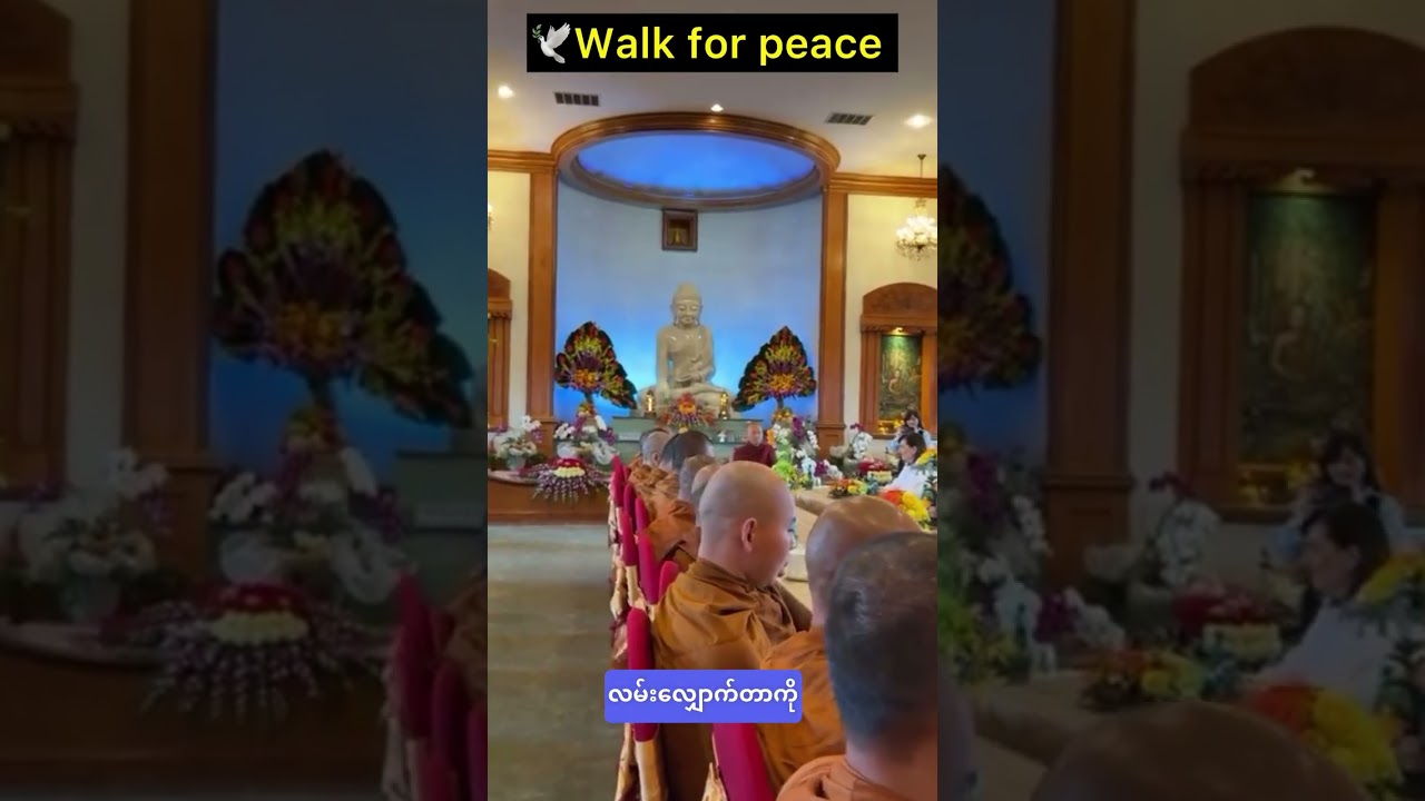 🕊️Walk for peace ☮️ walk for peace 🌻🪷🌻 
