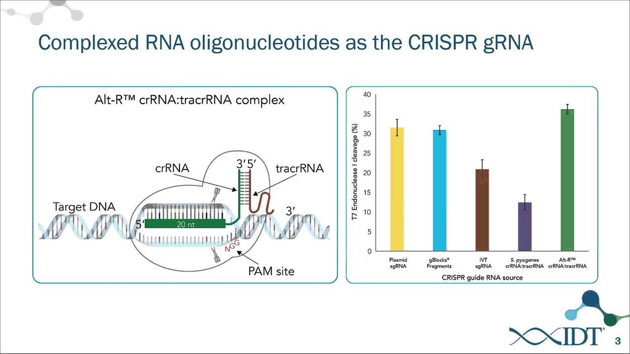 Increase efficiency of genome editing with the Alt-R™ CRISPR-Cas9 System