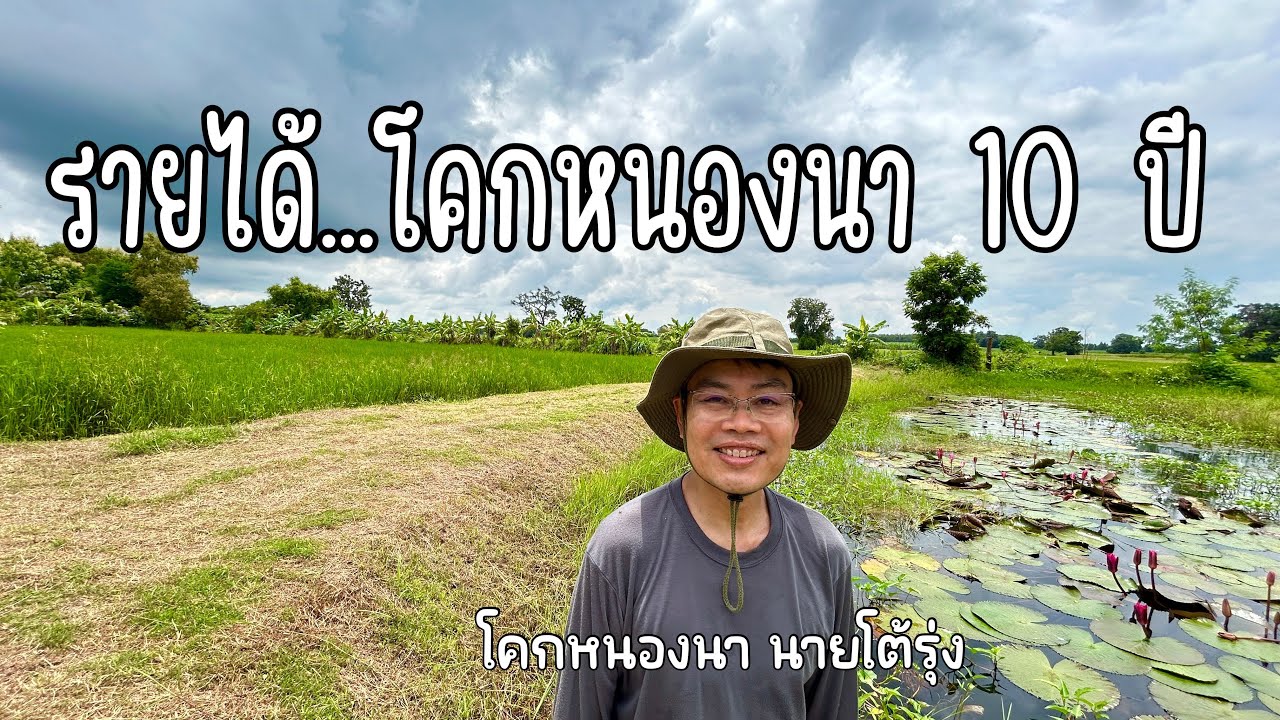 รายได้ โคกหนองนา 10 ปี : โคกหนองนา นายโต้รุ่ง บุรีรัมย์