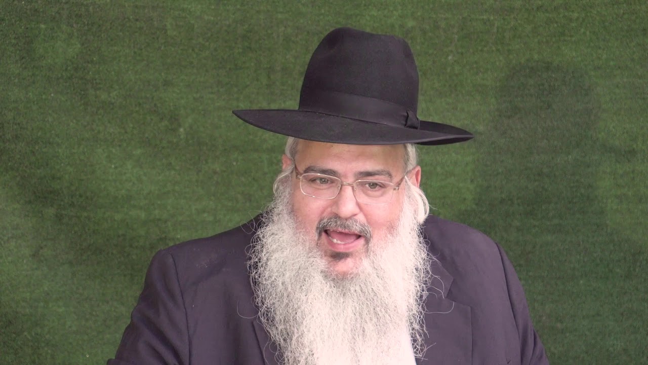 פנינים מפרשת פנחס תש"פ - הרב שלמה לוינשטיין HD