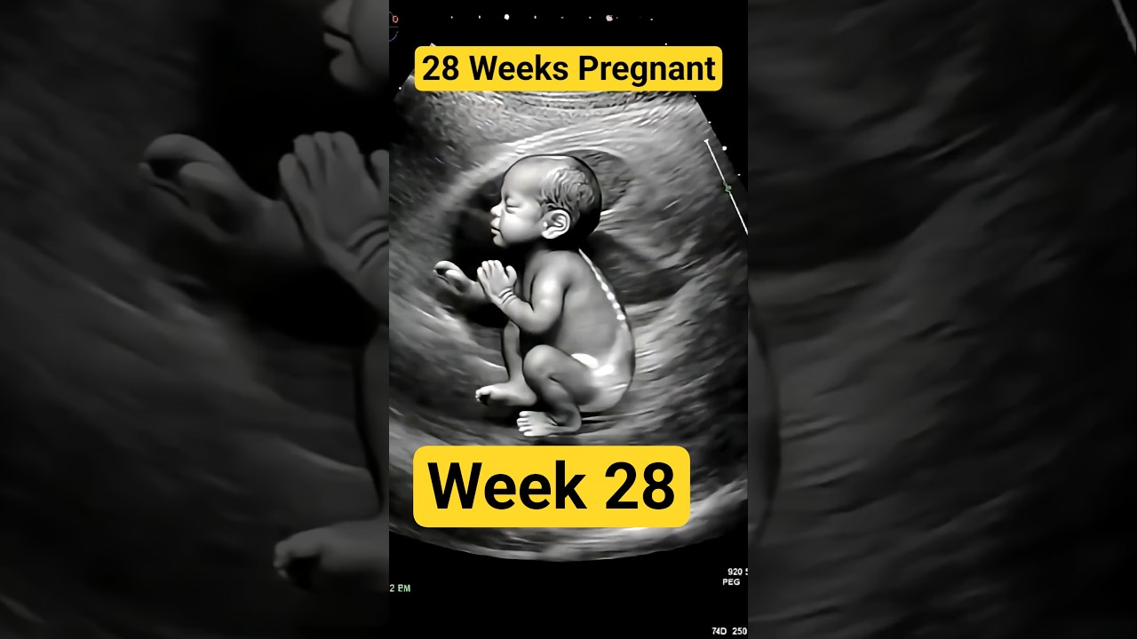 Amazing Baby Movements in the Womb!