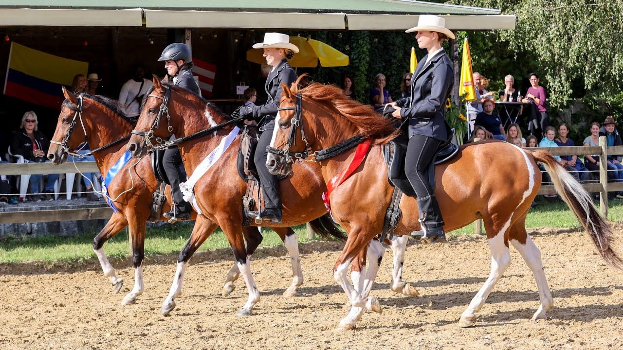Swiss Paso Fino Classic 2022 - Rückblick