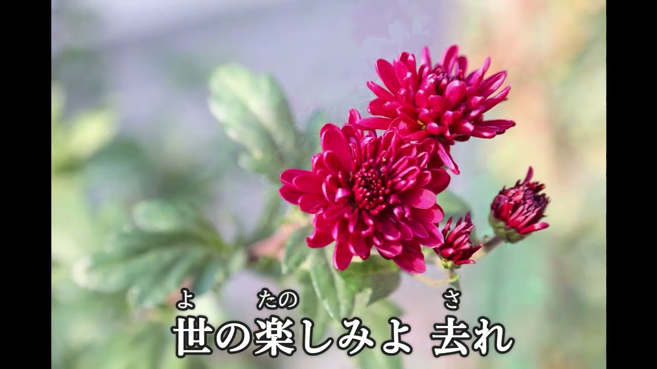 「キリストにはかえられません」（チェンバロ）　I'd rather have Jesus　総合版 539 番 / 聖歌 521 番