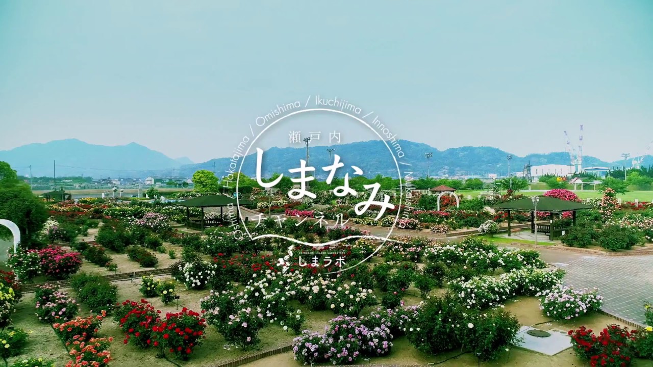 よしうみバラ公園／今治市吉海町