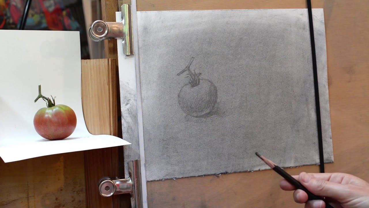 Démo #5 - Tomate - Graphite et craie blanche sur papier aquarelle