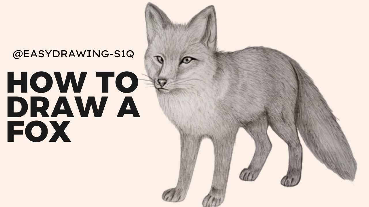 How to Draw a Fox