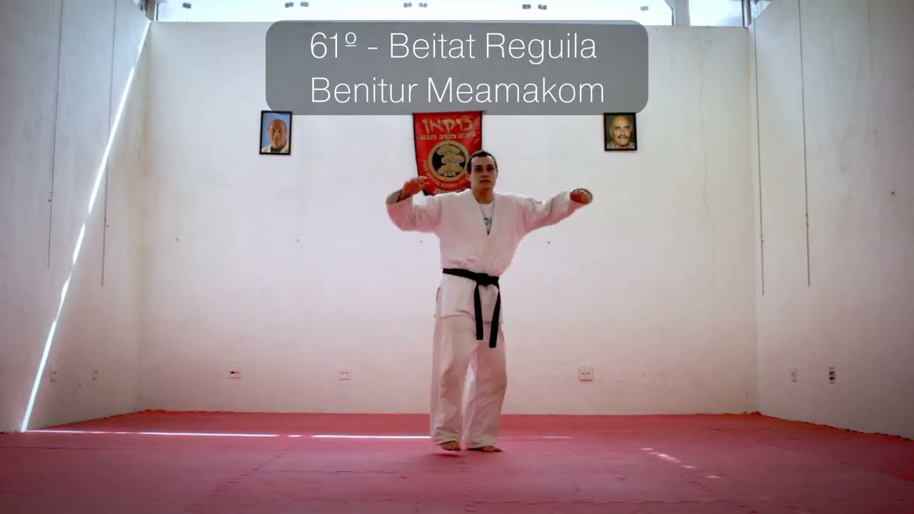 Krav-Maga´s Brown Belt (beitot benitur & Betitu) - בעיטות מחגורה חומה - Chutes da faixa marrom