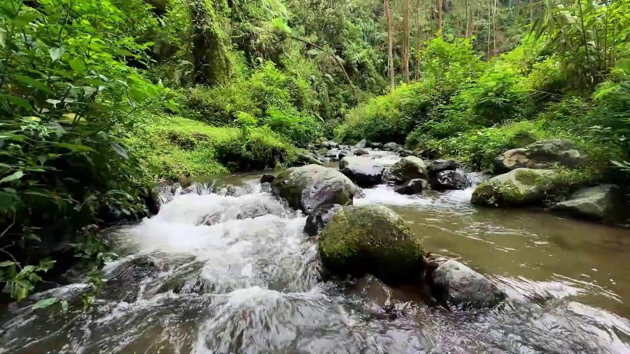 Calming river sound inside dark forest guiding mental peace into deeper deep sleep
