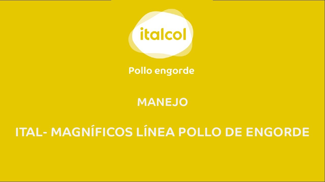 MANEJO - Ital- Magníficos  Línea Pollo de Engorde