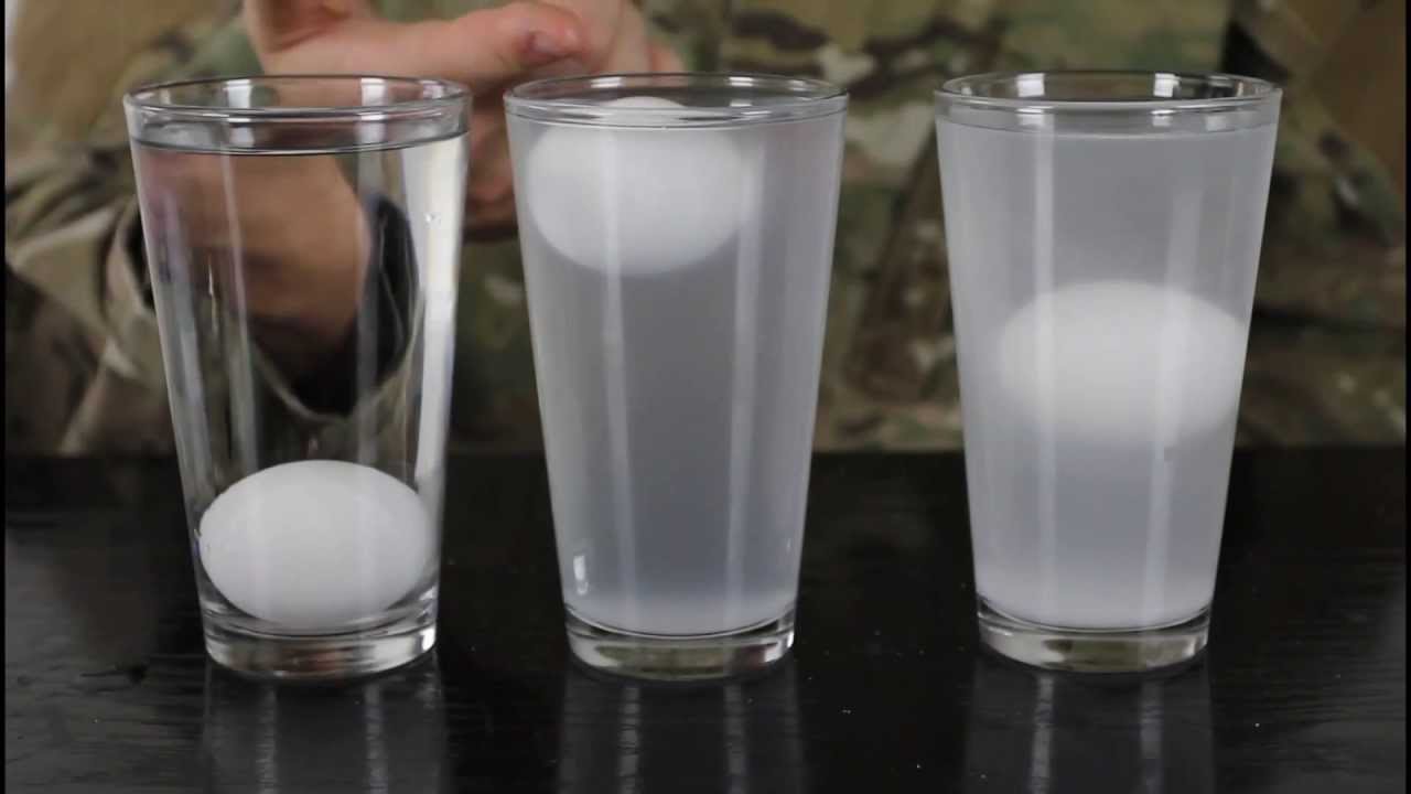 Eggs & Salt Water - Water Density Science Experiment