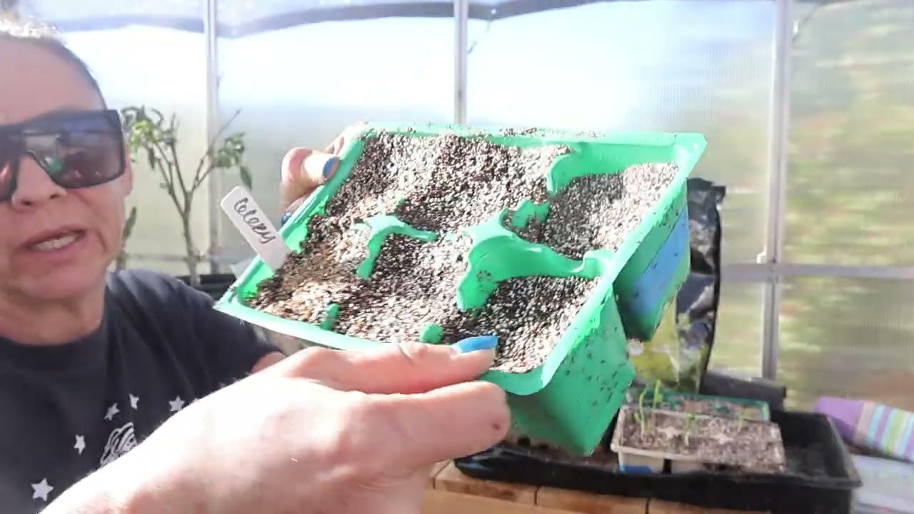 Succession Planting Winter Crops and Making 3D Printed Labels