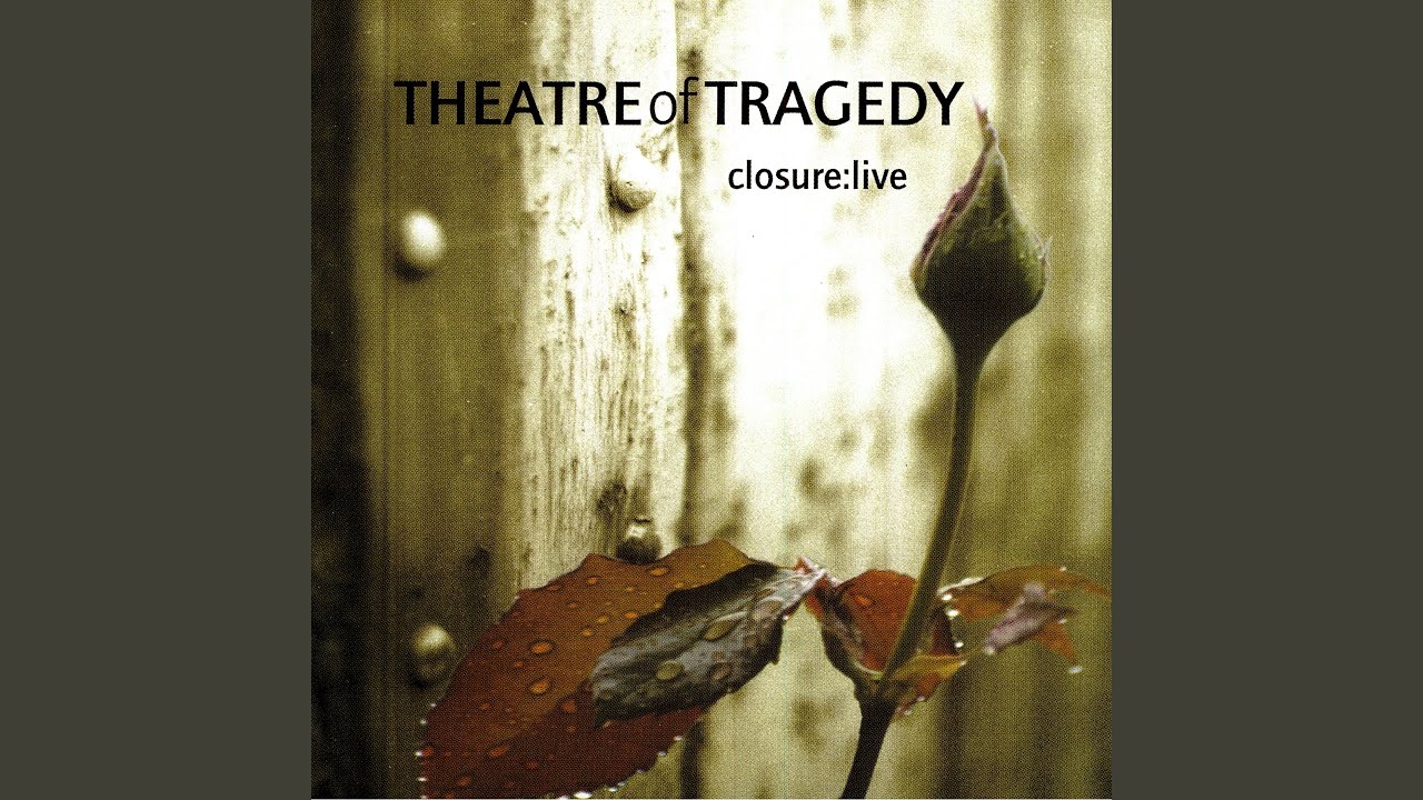 Der Tanz der Schatten (Live)