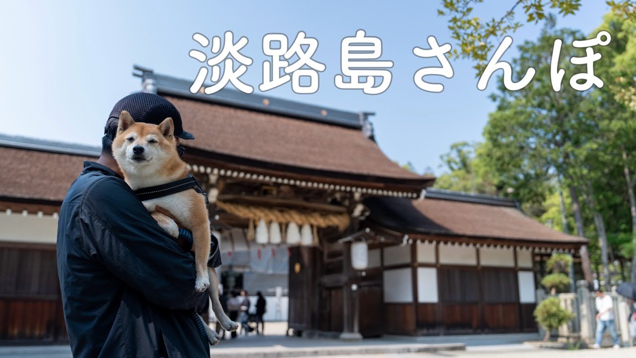【犬とお出かけvlog】犬連れで楽しめる観光スポットをおさんぽ｜淡路島（兵庫）