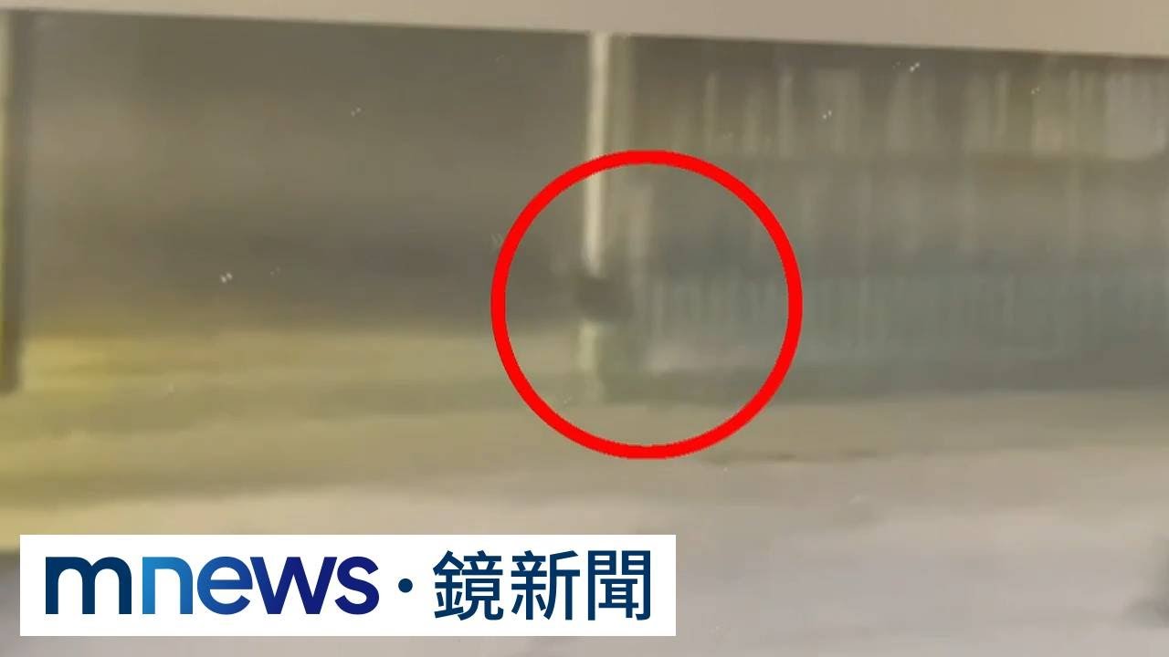 桃園60歲男子大年初五家中身亡　八旬老父棄屍埔心溪｜#鏡新聞
