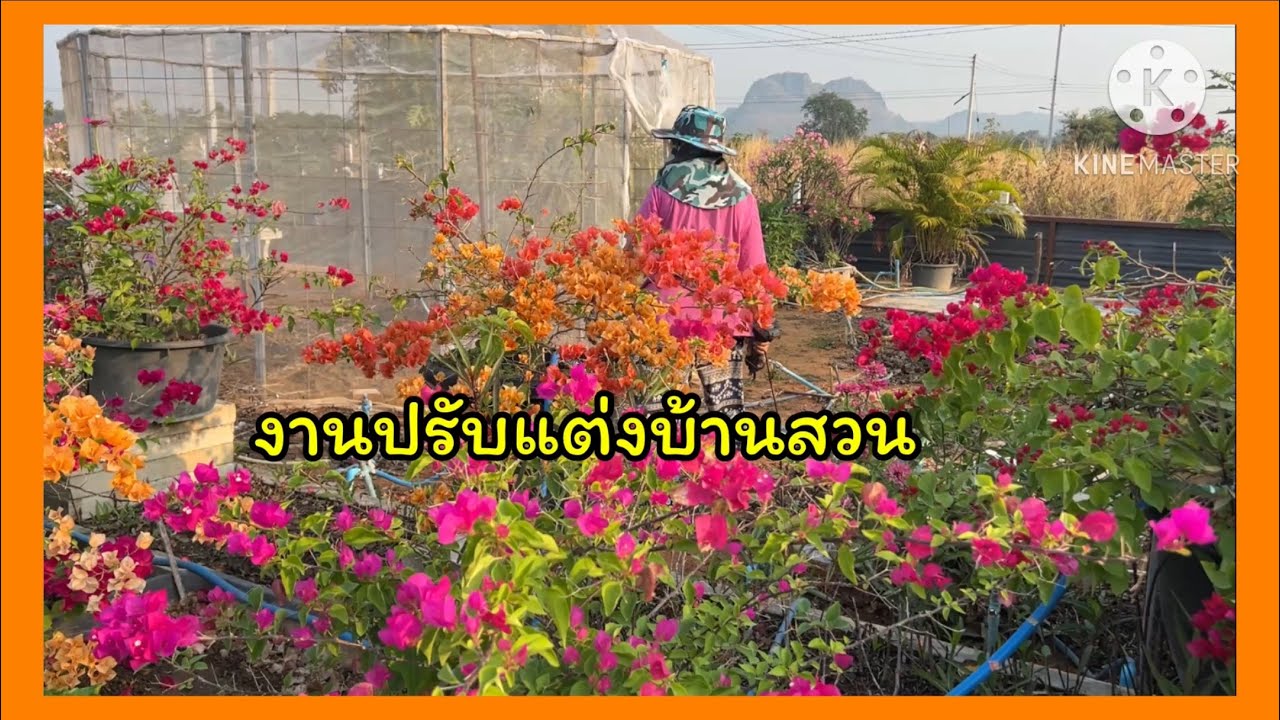 งานปรับแต่งที่บ้านสวน ยังเยอะเหมือนเดิม 🐶🪴🐶