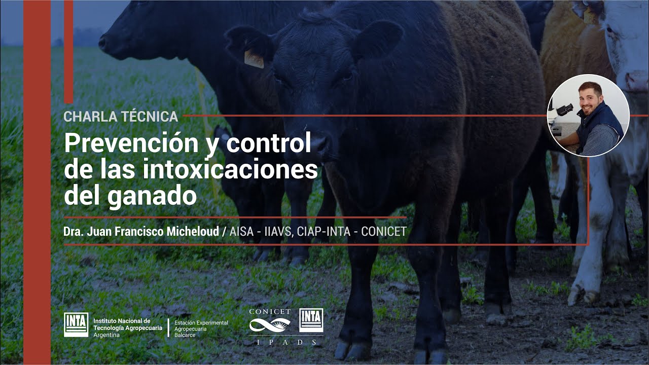 Prevención y control de las intoxicaciones del ganado