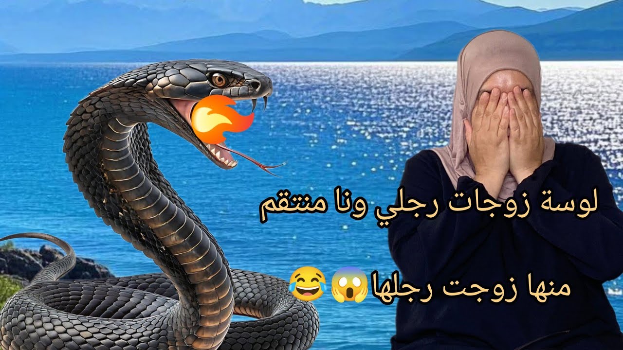 شحل زوينة مينكتشوفي بعينيك الانتقام من لوستي بردلي قلبي💔😭