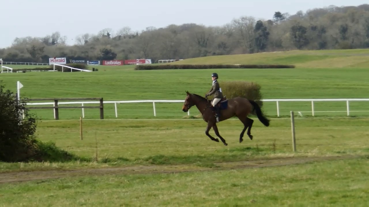 Rincoola Tintean-Kildare Performance Hunter show 2019