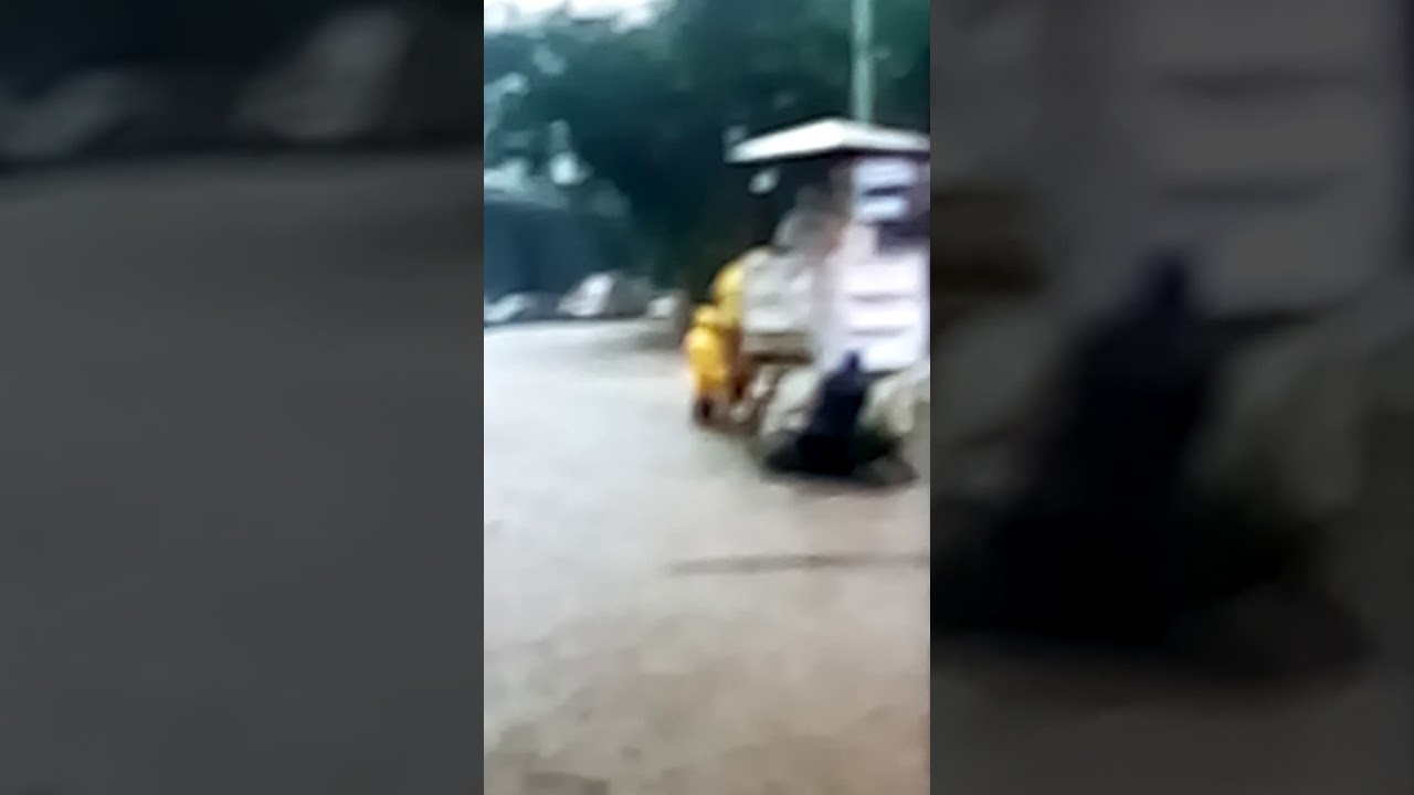 Flood at Dadar