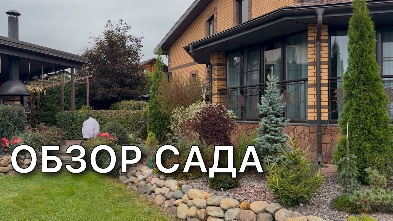 ОБЗОР прогулка по саду. Розы Хвойные Горензии Многолетники