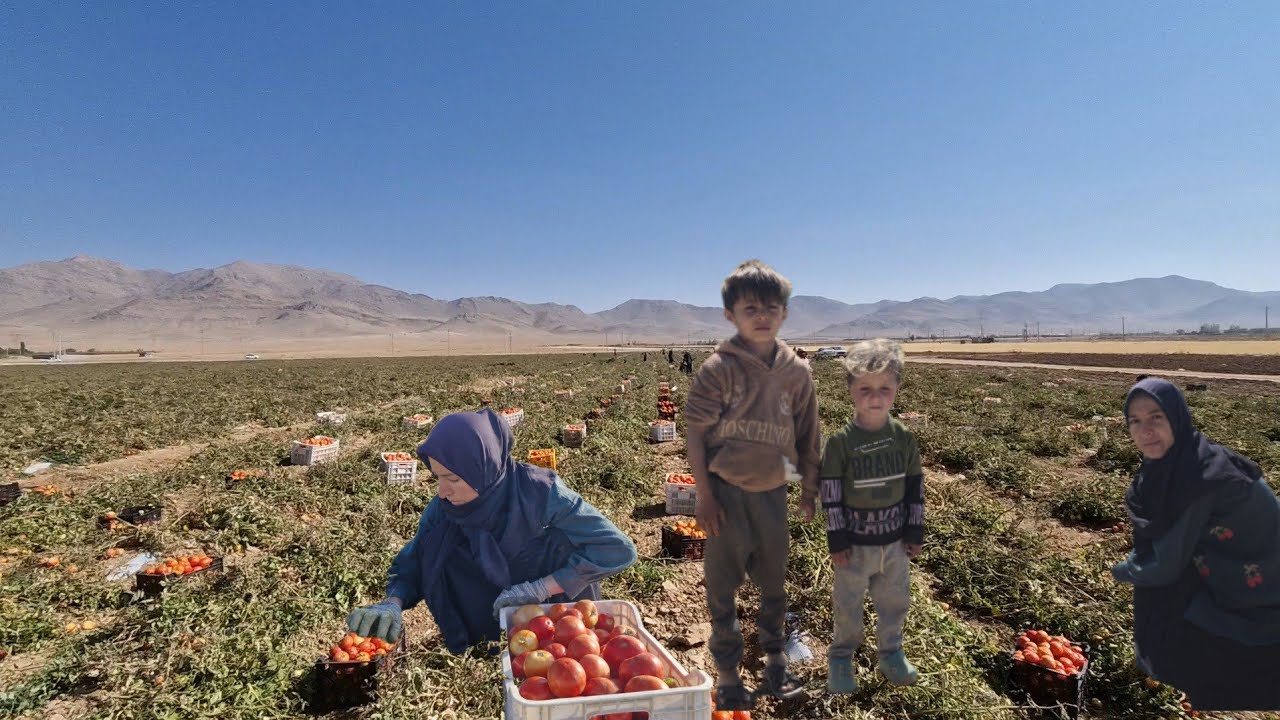 "The life of a single woman in the village is hard, but full of love"