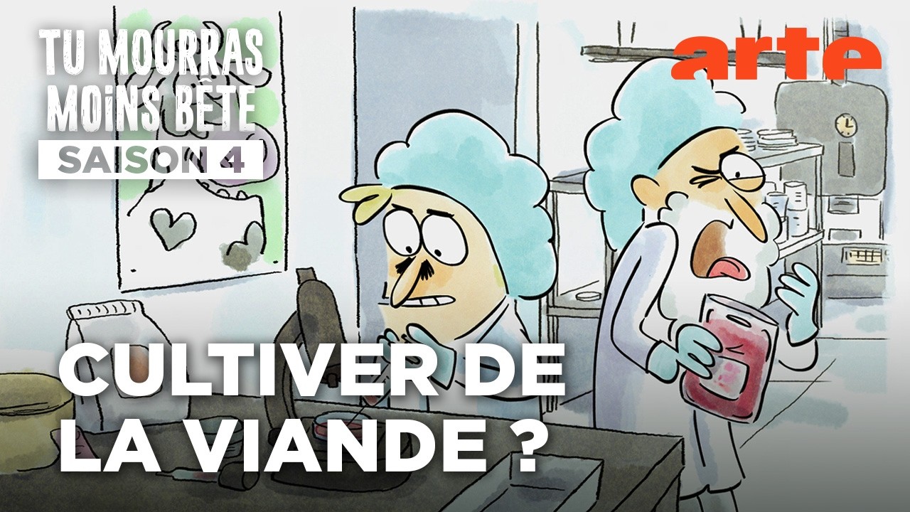 La beauce, en steak | Tu mourras moins bête | ARTE