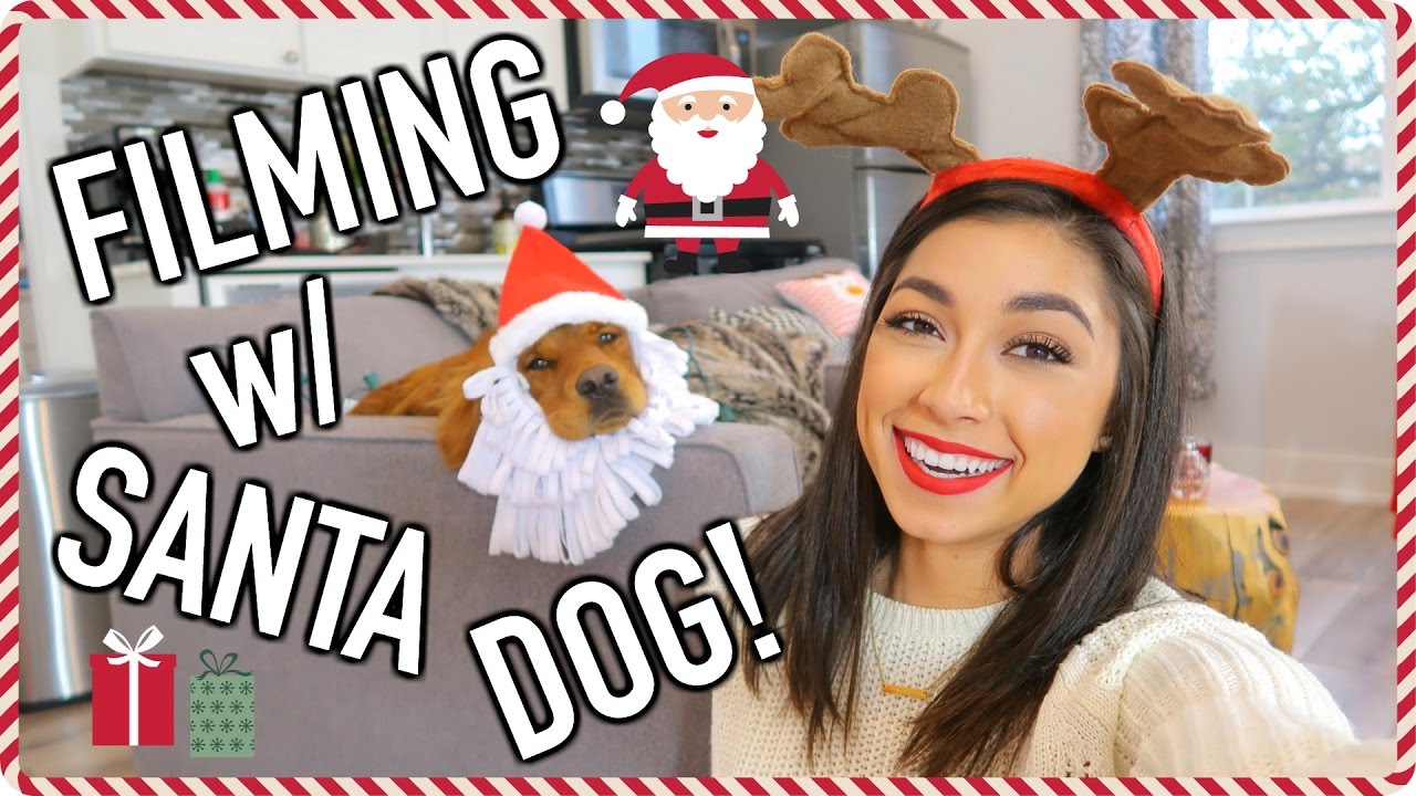 Santa Dog & Graduation Dress Shopping! | VLOGMAS DAY 2 | Jeanine Amapola